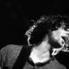 The Maccabees